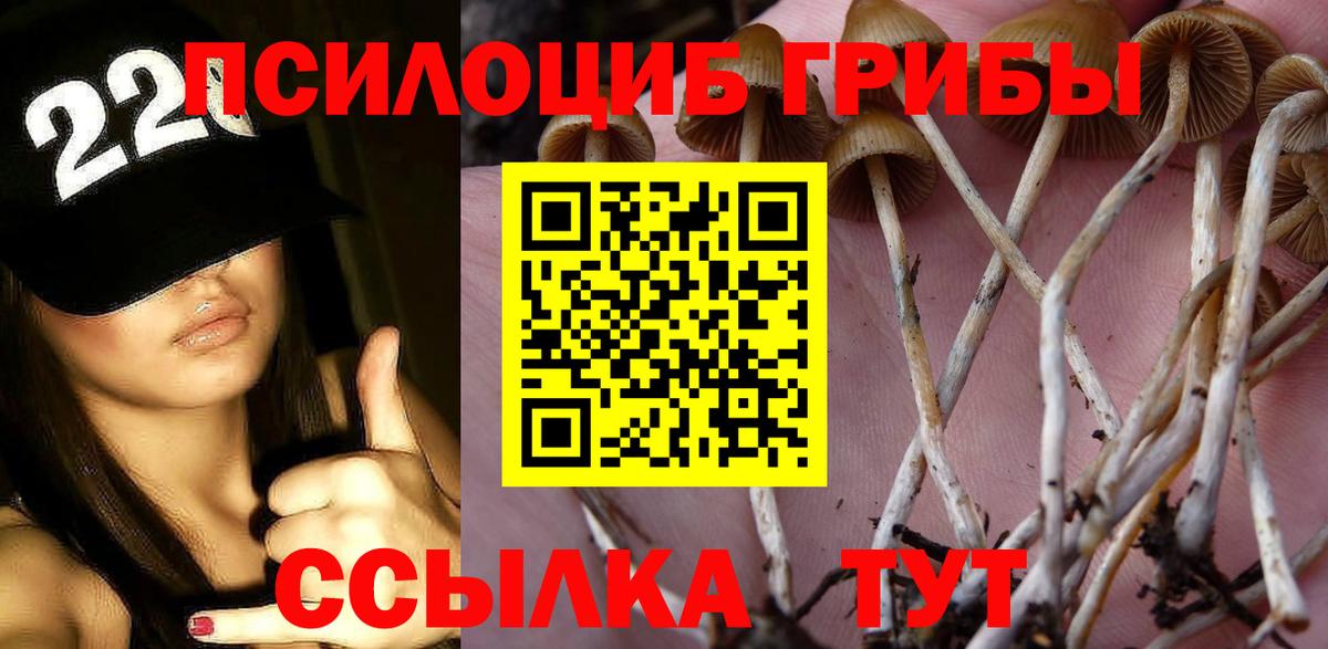 Галлюциногенные грибы Magic Shrooms Луга
