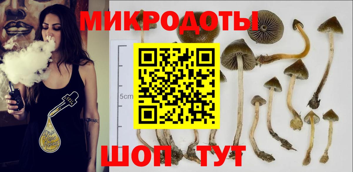 Луга  Галлюциногенные грибы прущие грибы  Псилоцибиновые грибы Psilocybine cubensis  Вход с VPN 